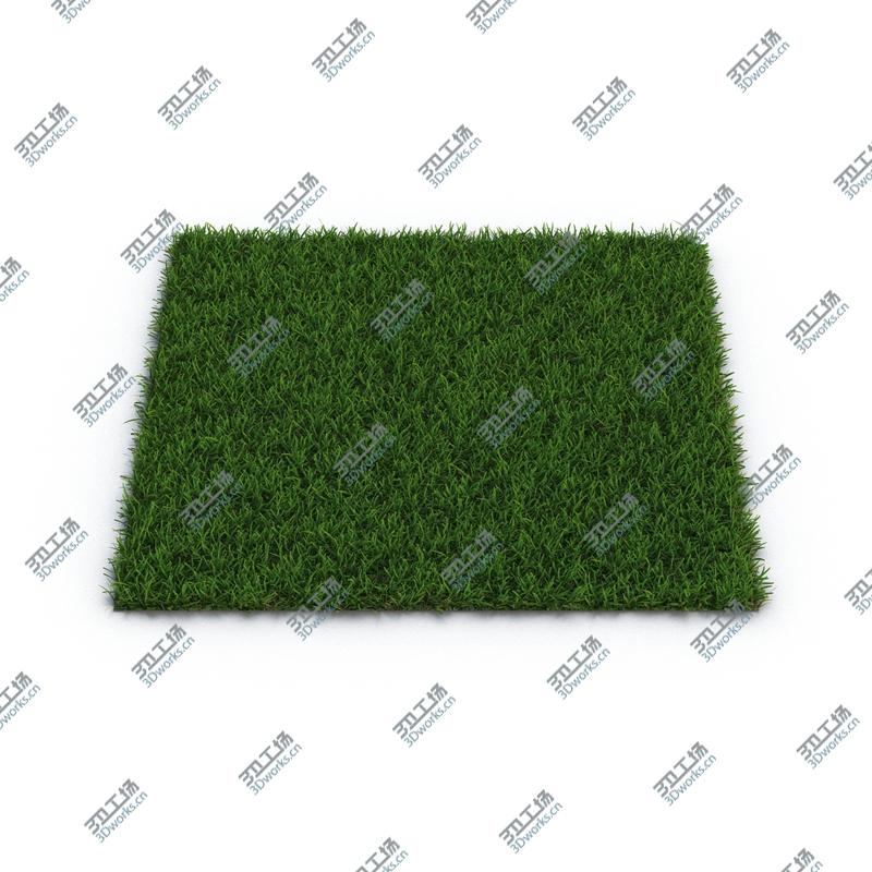 images/goods_img/202104091/Centipede Warm Season Grass/3.jpg